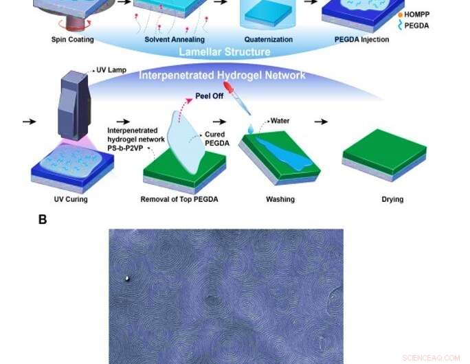 3‑D Touchless Display Detects Finger Humidity to Change Color