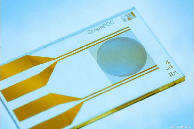 Fraunhofer Breakthrough: 15‑Minute Graphene Oxide Test Detects Bacterial & Viral Infections
