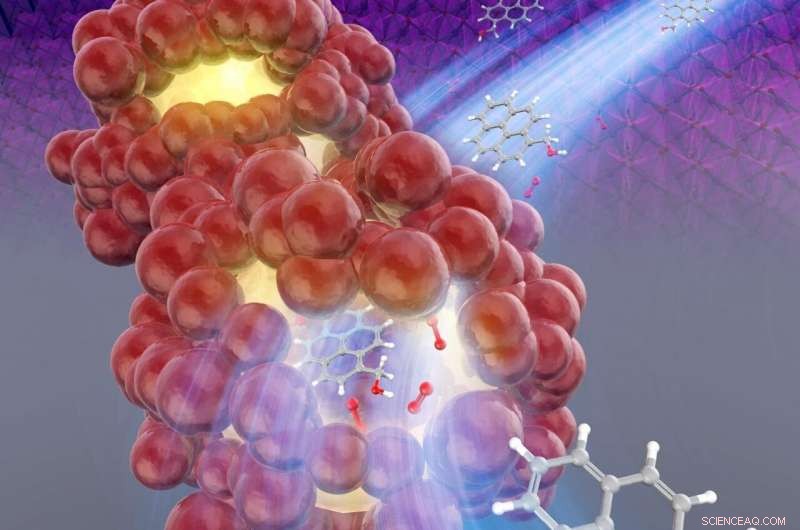 Engineering MnO₂ Nanostructures: How Synthesis Conditions Shape β‑MnO₂