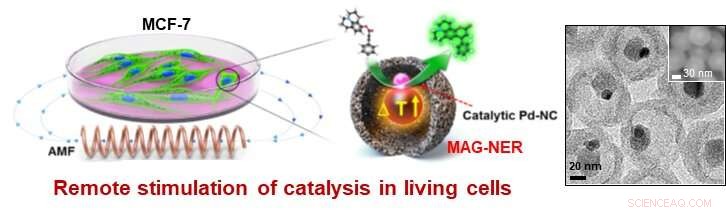 Remote‑Controlled Nanocatalysts: Precision Regulation of Cellular Chemical Reactions