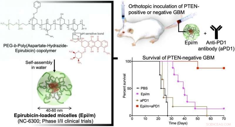 Epirubicin-Loaded Nanomedicines Surmount Immune Checkpoint Blockade Resistance in Glioblastoma