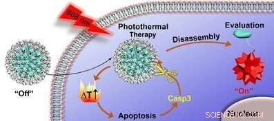 New Real-Time Evaluation Method Enhances Tumor Photothermal Therapy