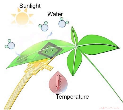 Advanced Plant Health Monitoring with Flexible Electronics