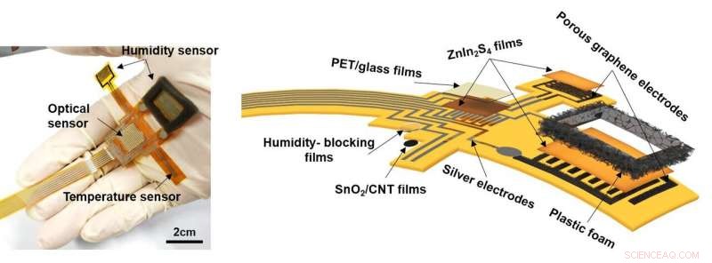 Advanced Plant Health Monitoring with Flexible Electronics