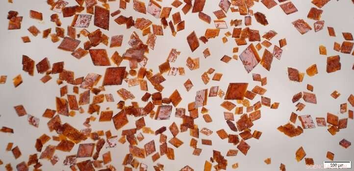 Precise Copper Nanoclusters Pave the Way for Next-Gen Catalysts