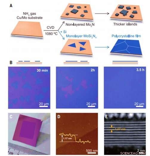 Enhancing Stability of Monolayer Nitrides Using Silicon Integration