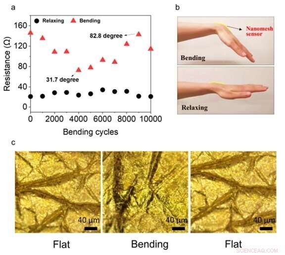 Durable On‑Skin Nanomesh Sensor for Real‑Time Skin Motion Monitoring