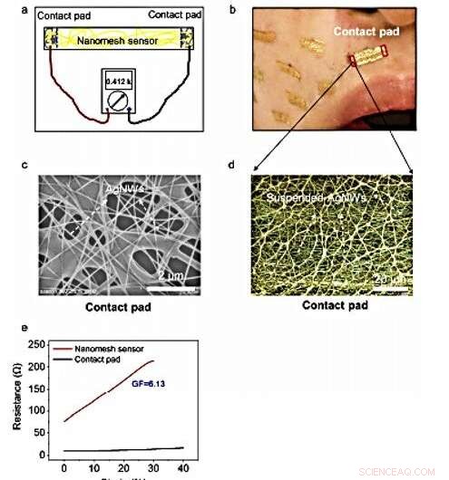 Durable On‑Skin Nanomesh Sensor for Real‑Time Skin Motion Monitoring
