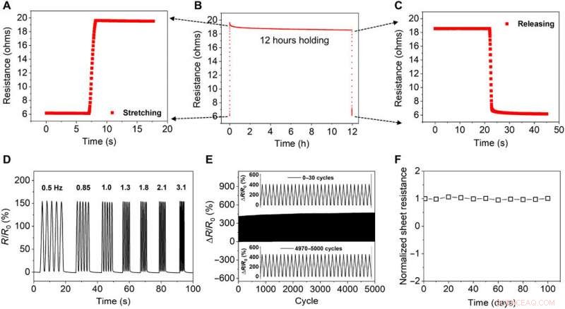 Durable On‑Skin Nanomesh Sensor for Real‑Time Skin Motion Monitoring