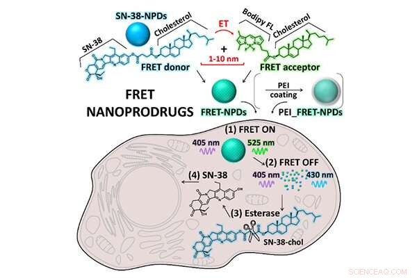 Revealed: A Highly Efficient, Carrier-Free Anticancer Drug Delivery System