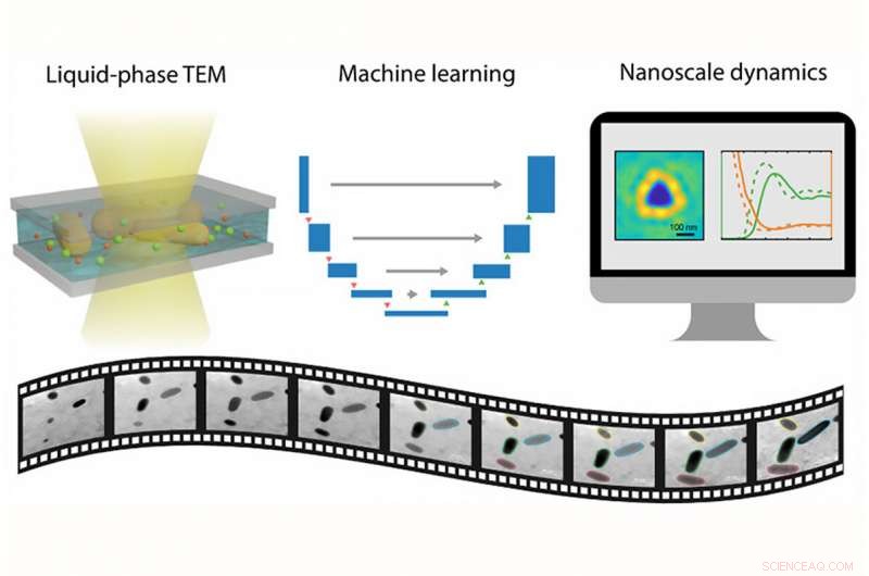 Machine Learning Illuminates Dynamics of Nano-Aquariums