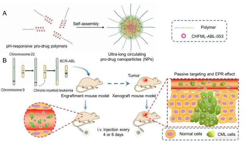 Ultra-Long Circulating Nanoparticle Shows Promise in Treating Chronic Myeloid Leukemia