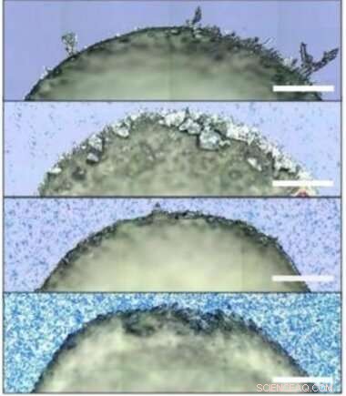 Graphene Additives Offer Precise Control Over Organic Crystal Structures