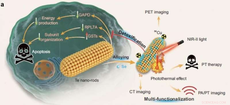 Biocompatible TeSex Nano-Alloys for NIR‑II Photothermal Therapy Guided by CT, PET, PT, and PA Imaging