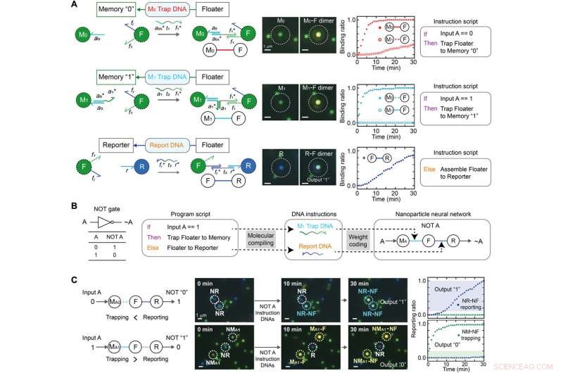 Advanced Nanoparticle Computing Architecture for Neural Networks on Lipid Nanotablet Chips
