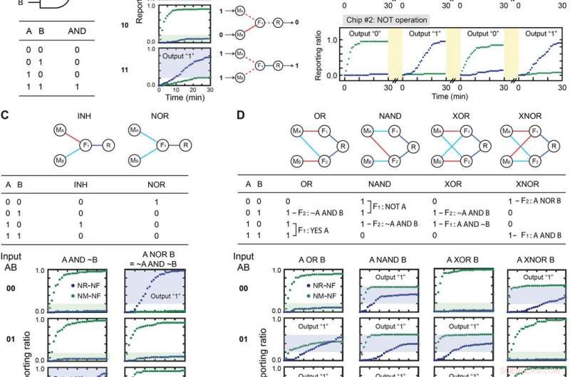 Advanced Nanoparticle Computing Architecture for Neural Networks on Lipid Nanotablet Chips