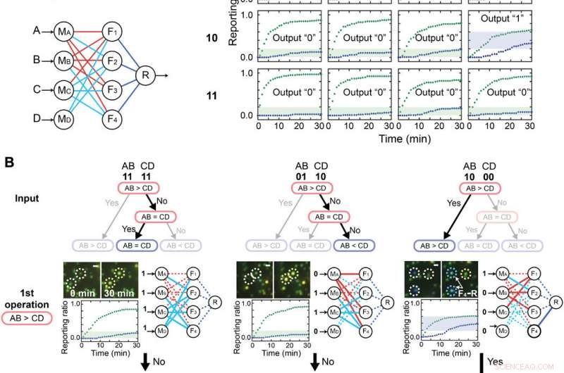 Advanced Nanoparticle Computing Architecture for Neural Networks on Lipid Nanotablet Chips