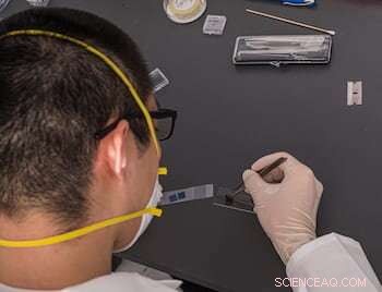 Light‑Induced Refraction Shift in 2‑D Tantalum Disulfide Promises Next‑Gen Displays and LIDAR