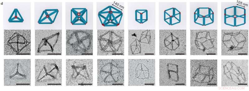 Meta‑DNA: Pioneering 3D Polyhedron Construction in DNA Origami