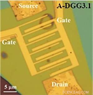 Advancing Tunable Graphene Plasmonic THz Amplifiers
