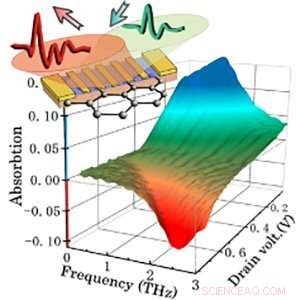 Advancing Tunable Graphene Plasmonic THz Amplifiers