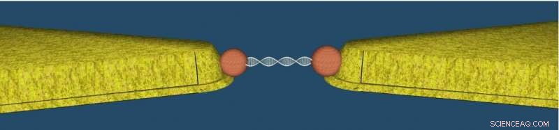 Using DNA Molecules to Detect Diseases and Power Next-Gen Electronics