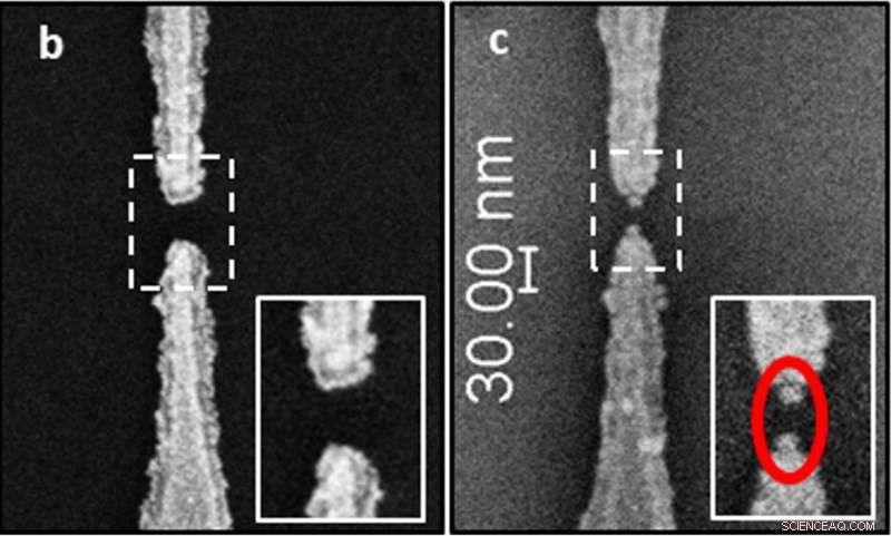 Using DNA Molecules to Detect Diseases and Power Next-Gen Electronics