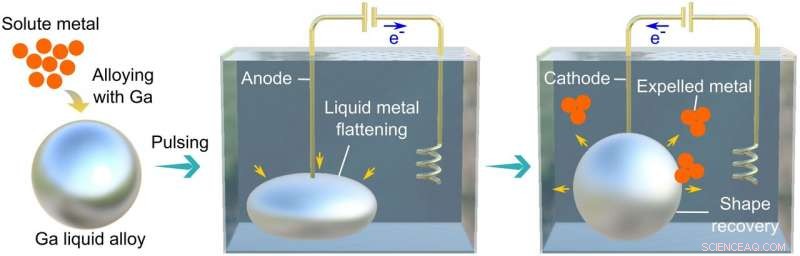 Growing Metallic Crystals in Liquid Metal: Pioneering Experimental Insights