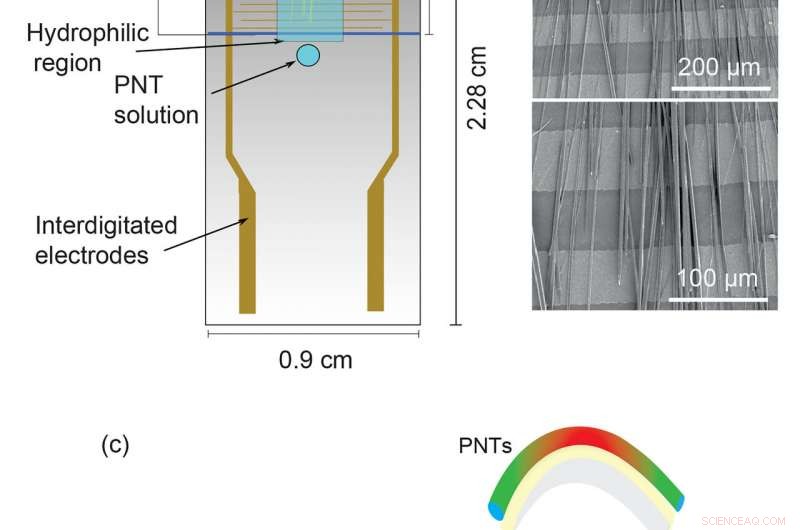 Organic Nanotube Energy Harvesters: Flexible, High-Performance Devices