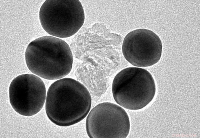 How Nanoparticle Size Influences Their Impact on Biological Membranes