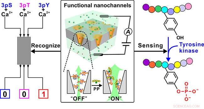 Nanochannel-Based Ion Approach for Precise Tyrosine Phosphorylation Detection