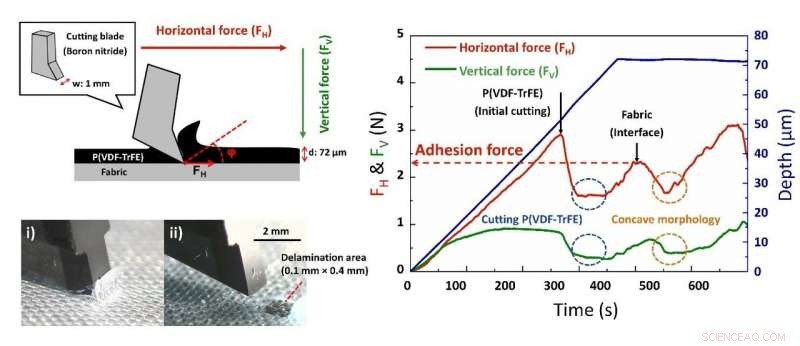 Revolutionary Fabric-Based Piezoelectric Harvester Paves the Way for Advanced Wearable Electronics