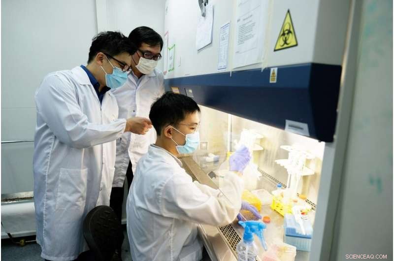 New Trojan Horse Nanoparticle Technique Eliminates Cancer Cells Without Drugs