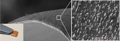 Revolutionizing Neural Interfaces: Novel Nanostructured Electrodes