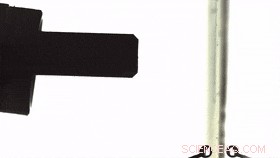 Researchers Innovate Photopyroelectric Microfluidics for Precise Droplet Control