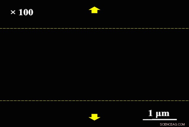 White Graphene Shows Exceptional Defect Tolerance and Elasticity