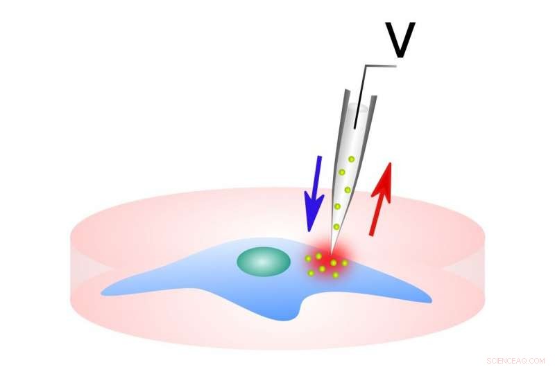 New Cell Perturbation System Offers Promising Medical Applications