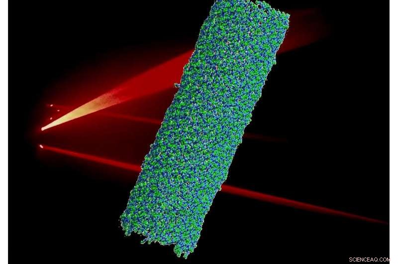 Disordered Light-Harvesting Systems: Achieving Reliable Energy Transfer