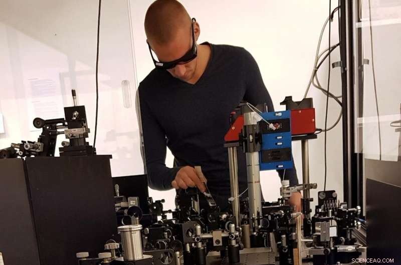 Disordered Light-Harvesting Systems: Achieving Reliable Energy Transfer