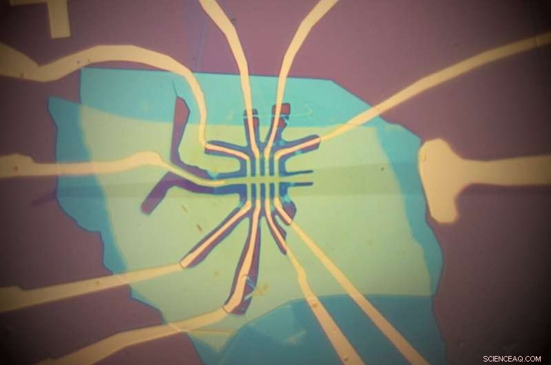 Twisted 2‑D Materials Reveal Collective Electron Behavior in Novel Quantum States