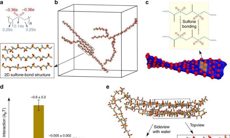 Nanonet Collapse: A Precision Tool for Sequestering Drug Molecules