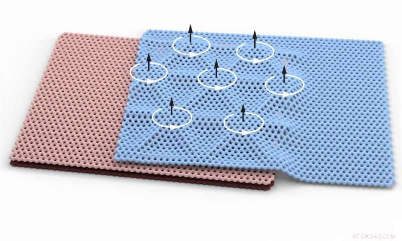 Twisted Bilayer Graphene Unveils Rare Magnetic Phenomena