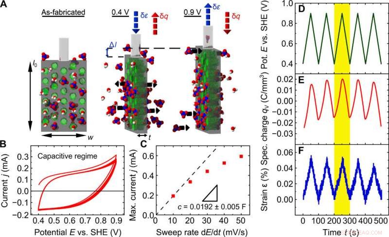 Exceptional Electrochemical Actuation in Nanoporous Silicon‑Polypyrrole Hybrid Materials