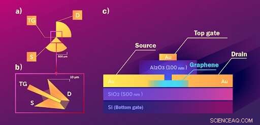 Graphene-Enabled Detector Decodes Terahertz Light Polarization