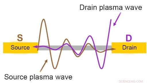 Graphene-Enabled Detector Decodes Terahertz Light Polarization