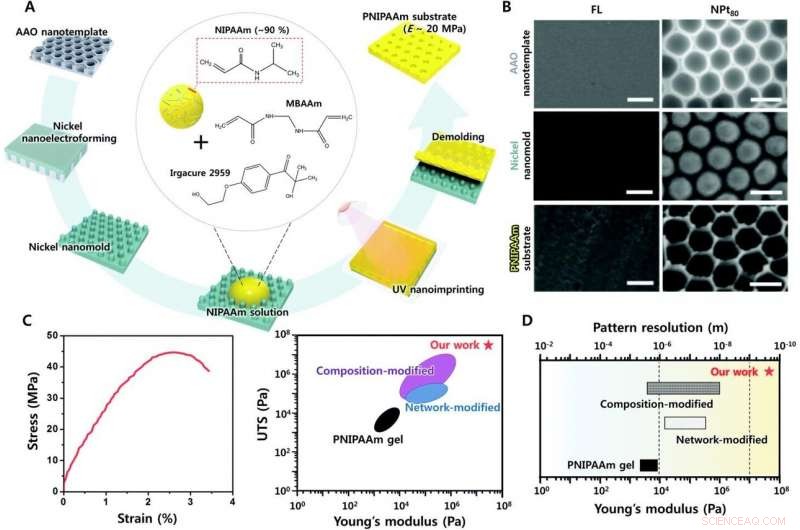 Rapid Fabrication of PNIPAAm Nanopore-Patterned Surfaces via Triple-Step Nanoreplication
