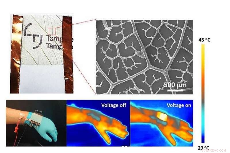 Tampere University Unveils Biodegradable Plant‑Leaf Thermotherapy Patch for Flexible Electronics