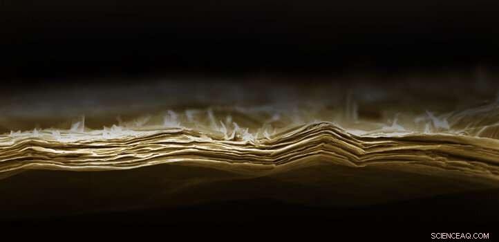 MXene Lamellar Membrane Functions as an Accurate Molecular Thermometer