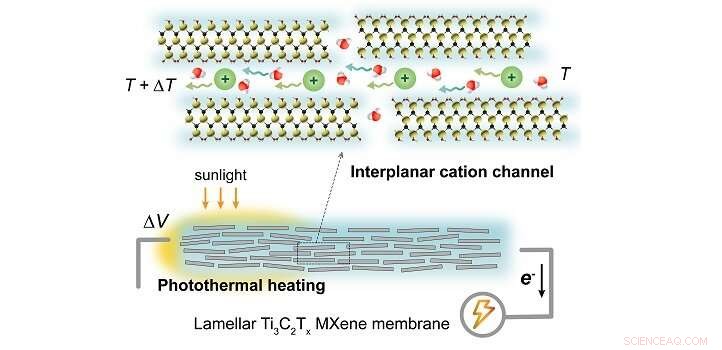 MXene Lamellar Membrane Functions as an Accurate Molecular Thermometer