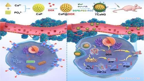 Calcium Nanoparticles Effectively Kill Multidrug‑Resistant Tumor Cells